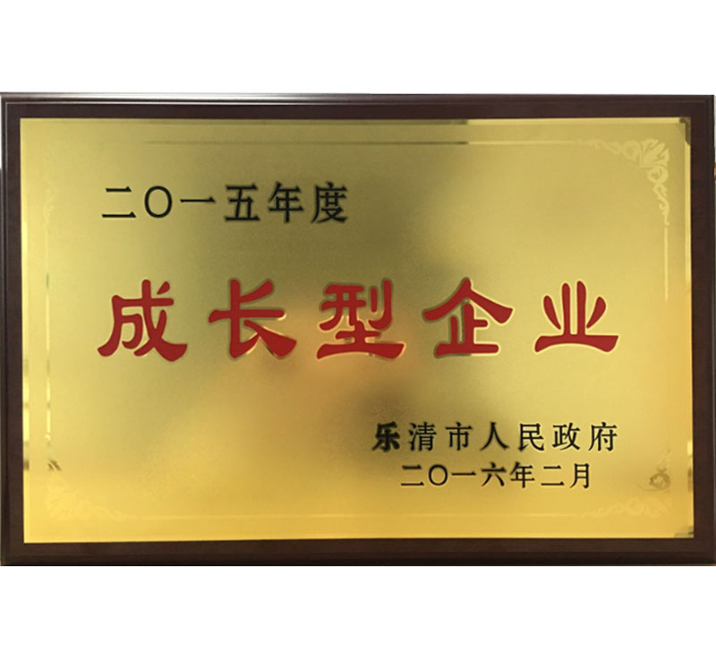 2015成長型企業(yè)-樂清人民政府