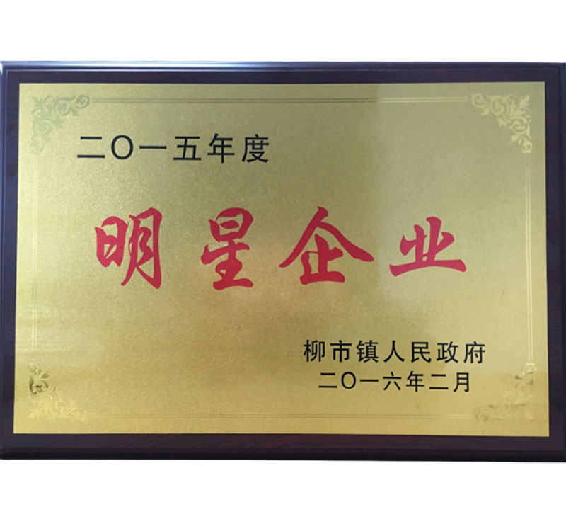 2015明星企業(yè)-柳市鎮(zhèn)政府