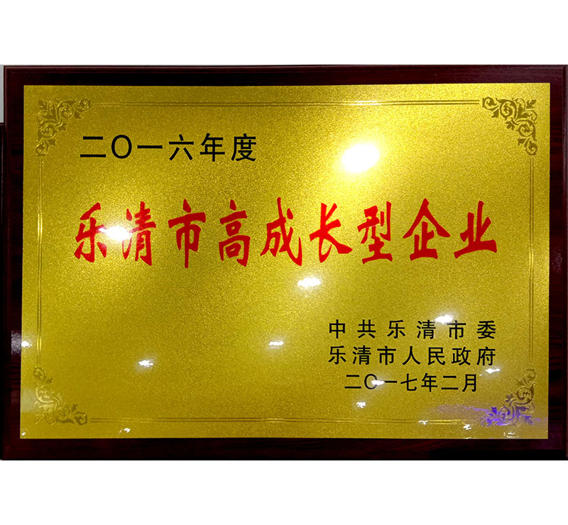 2016年度樂清市高成長型企業(yè)