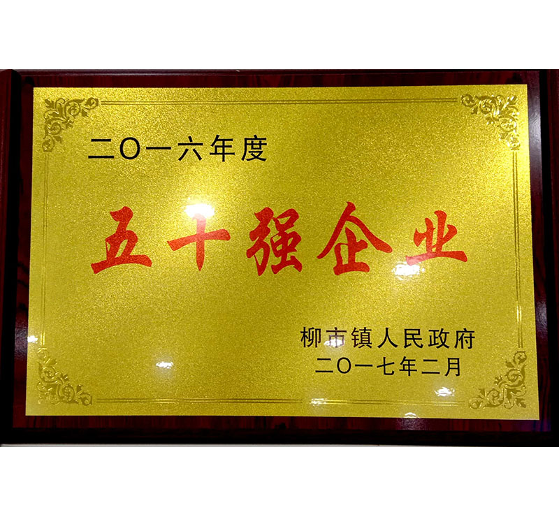 2016年度-五十強(qiáng)企業(yè)