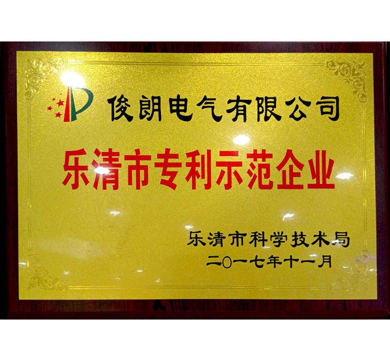 2017樂清市專利示范企業(yè)-樂清科學(xué)技術(shù)局