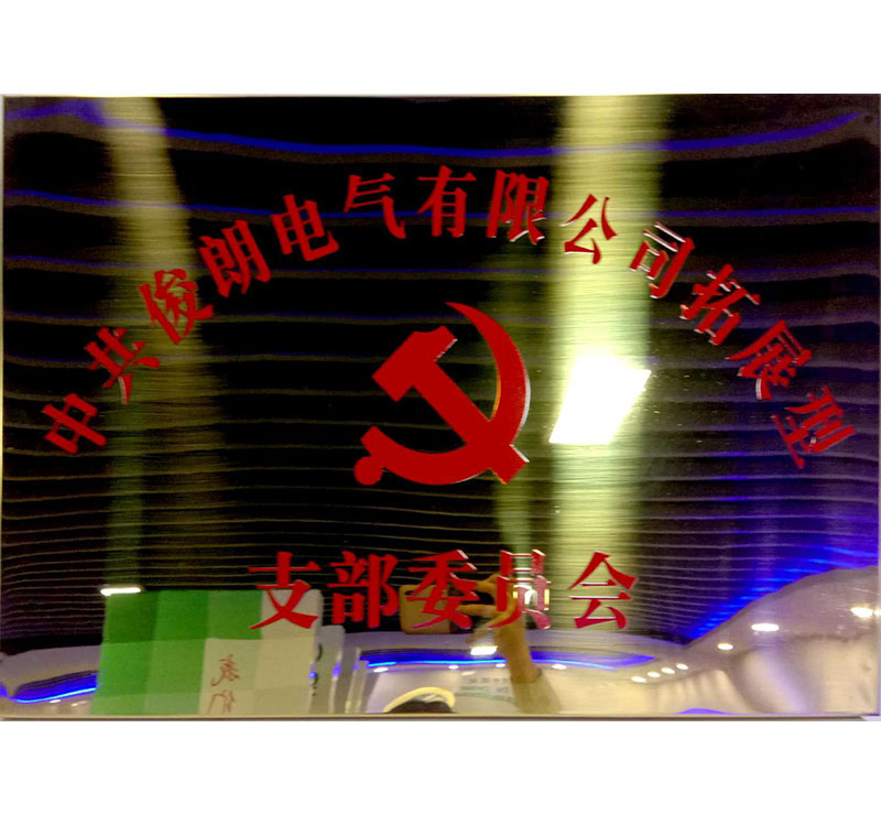 中共俊朗電氣有限公司拓展型-支部委員會